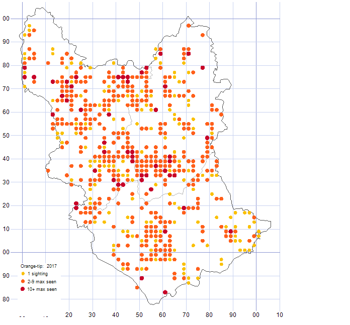 Orange-tip distribution map 2017