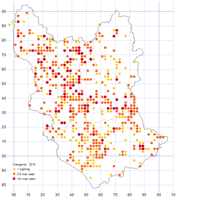 Orange-tip distribution map 2018