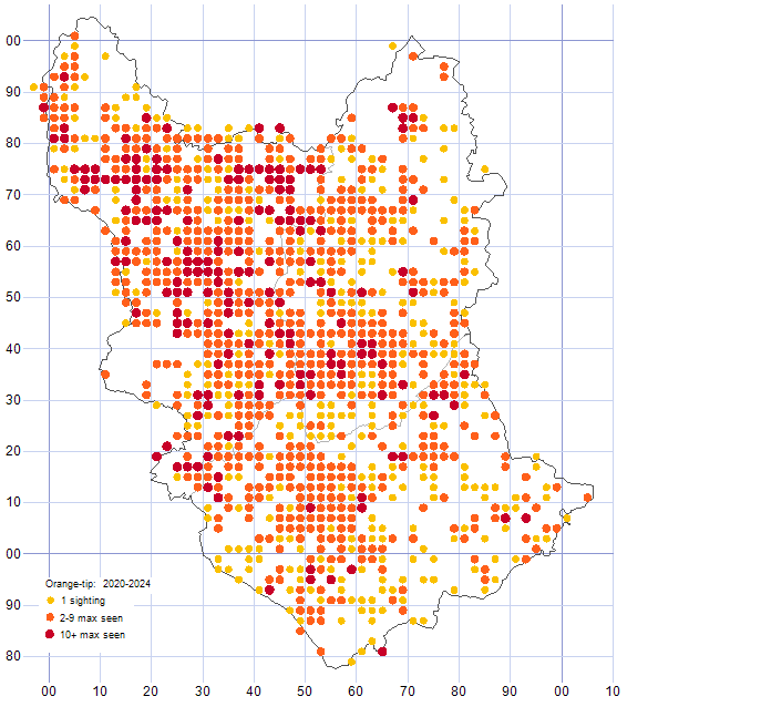 Orange-tip distribution map 2020-24
