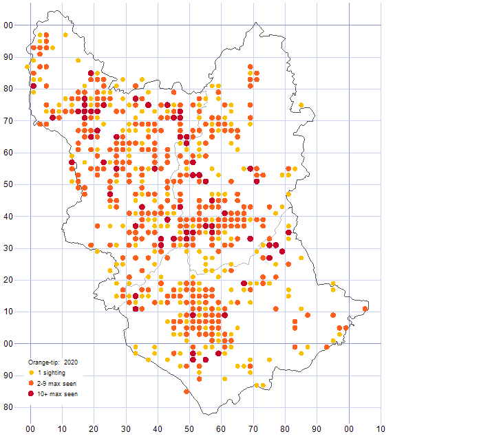 Orange-tip distribution map 2020