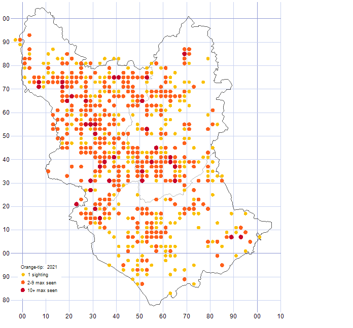 Orange-tip distribution map 2021