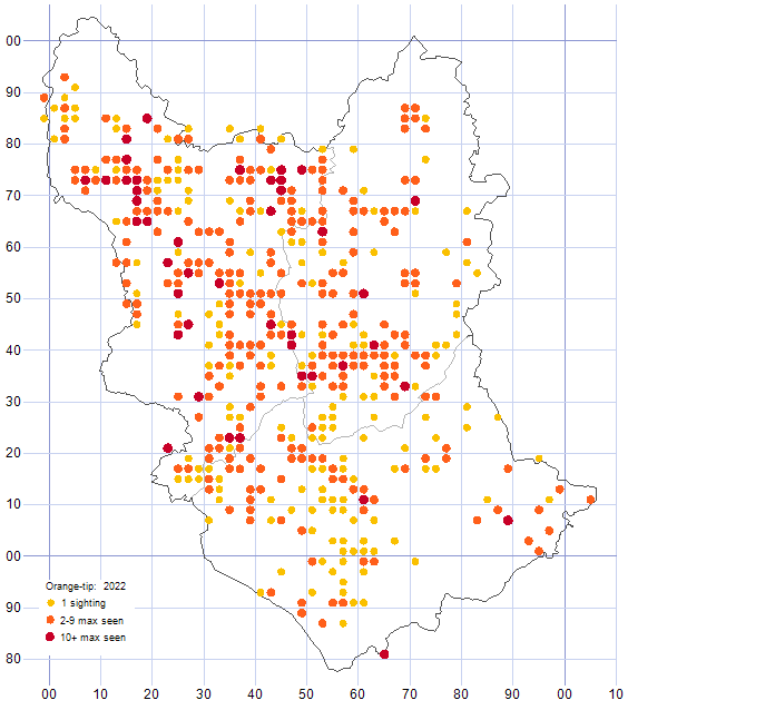 Orange-tip distribution map 2022