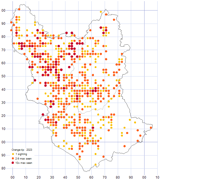 Orange-tip distribution map 2023