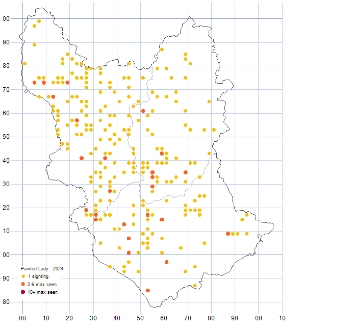 Painted Lady distribution map 2024