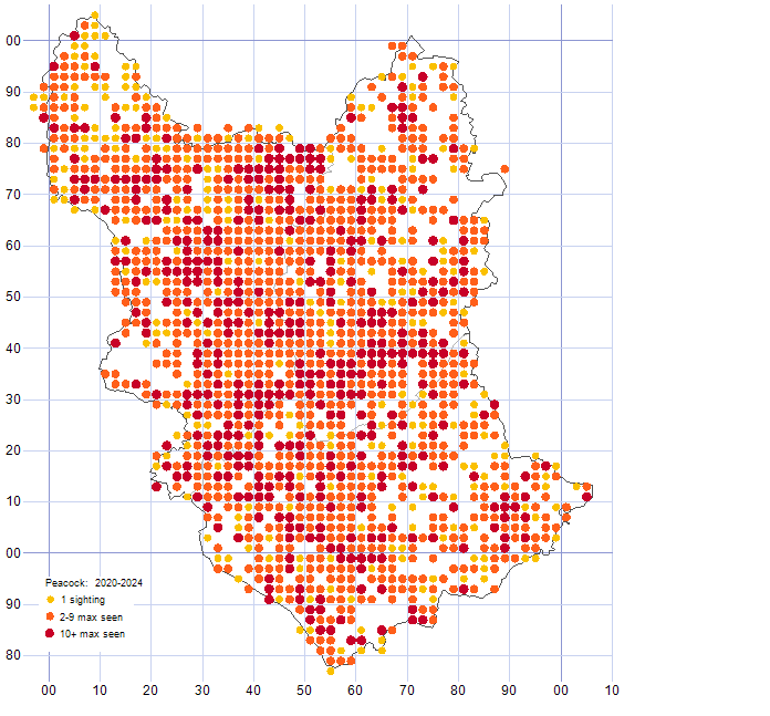 Peacock distribution map 2020-24