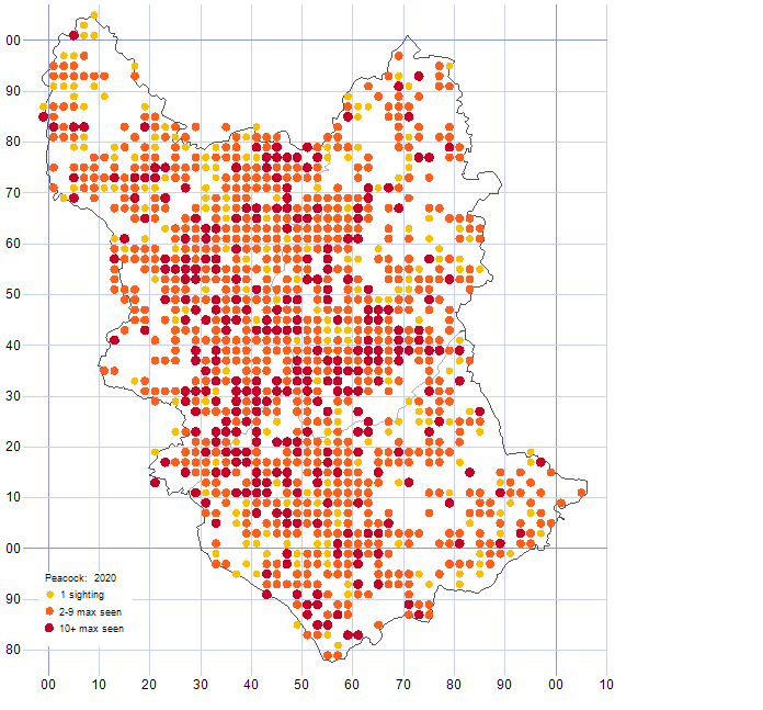 Peacock distribution map 2020