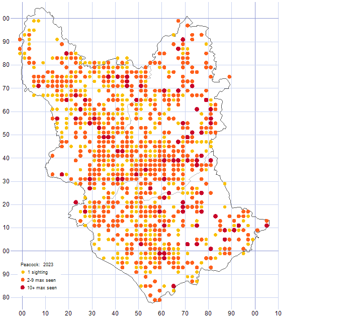 Peacock distribution map 2023