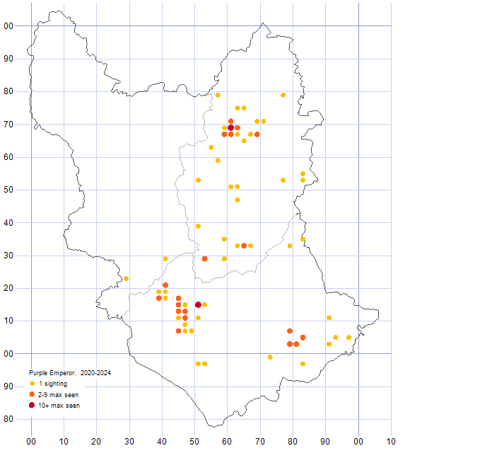 Purple Emperor distribution map 2020-24