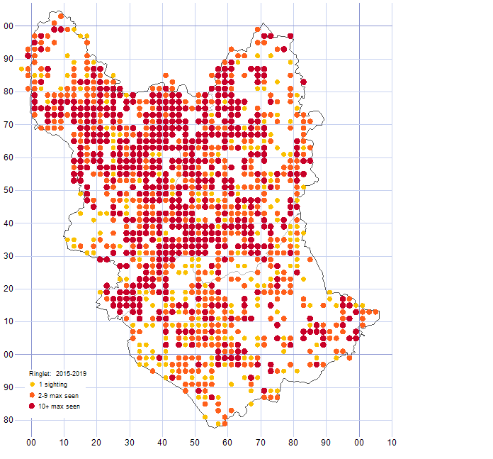 Ringlet distribution map 2015-19