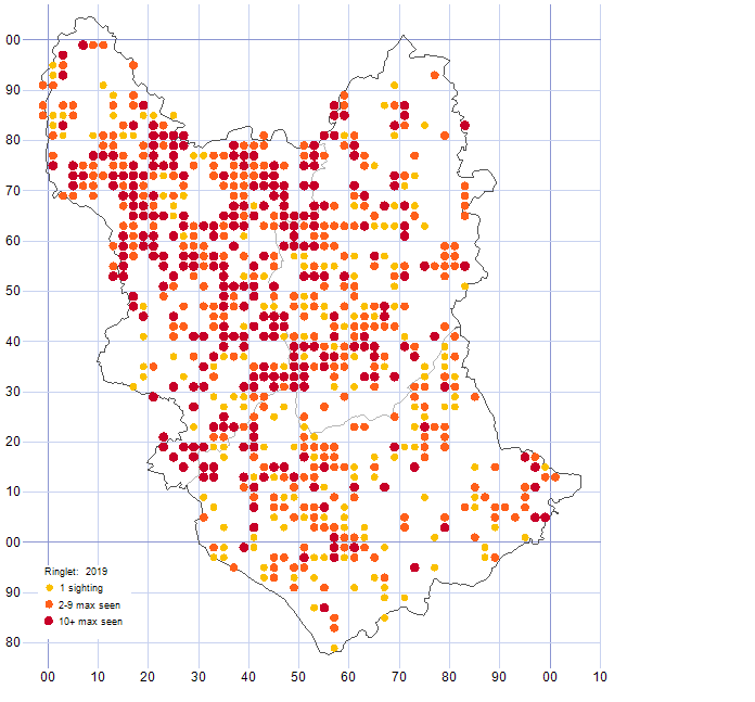 Ringlet distribution map 2019