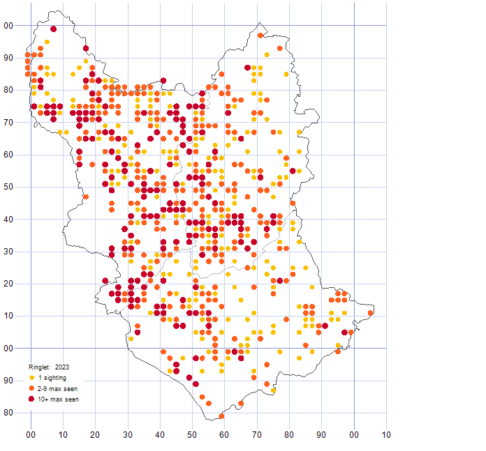 Ringlet distribution map 2023