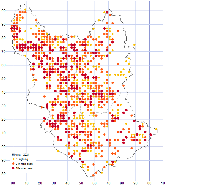Ringlet distribution map 2024