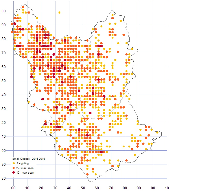 Small Copper distribution map 2015-19