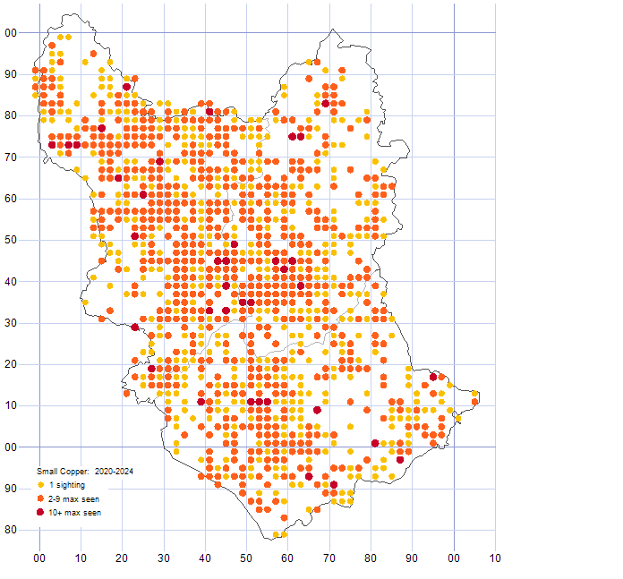 Small Copper distribution map 2020-24