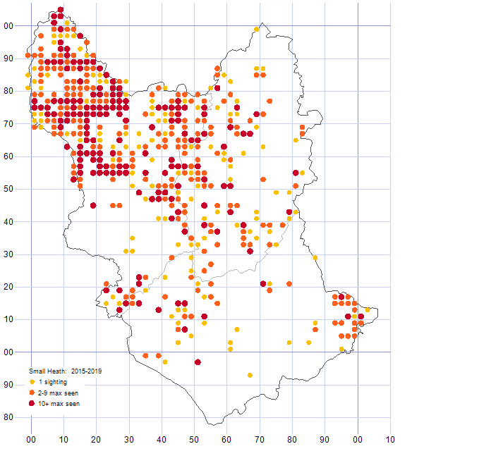 Small Heath distribution map 2015-19