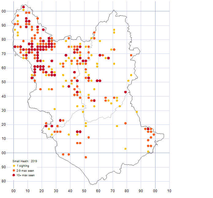 Small Heath distribution map 2019