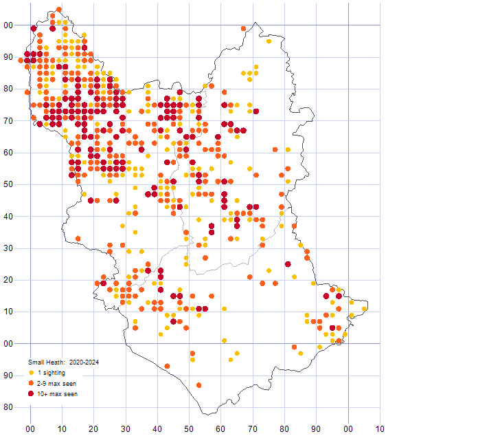 Small Heath distribution map 2020-24