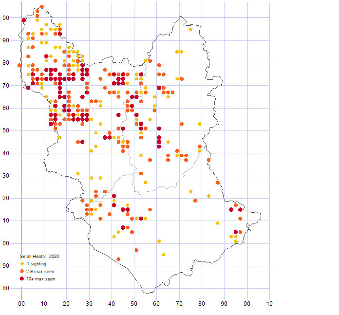 Small Heath distribution map 2020