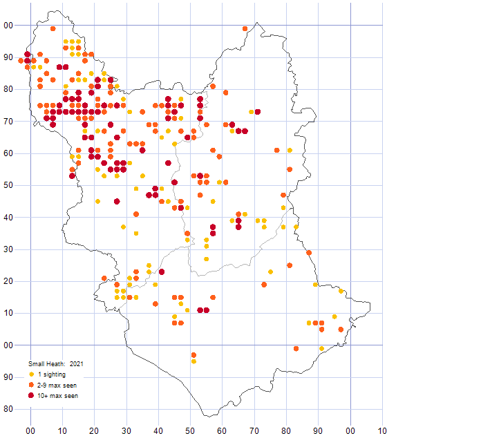 Small Heath distribution map 2021