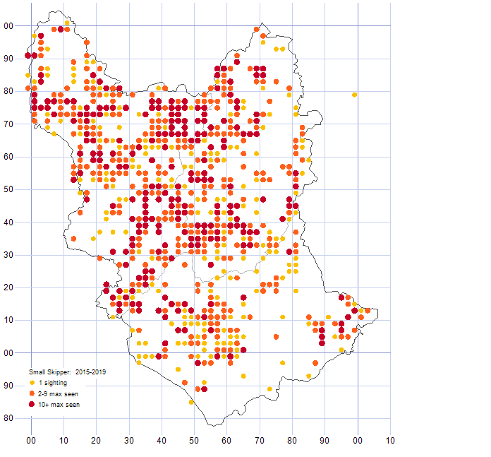 Small Skipper distribution map 2015-19