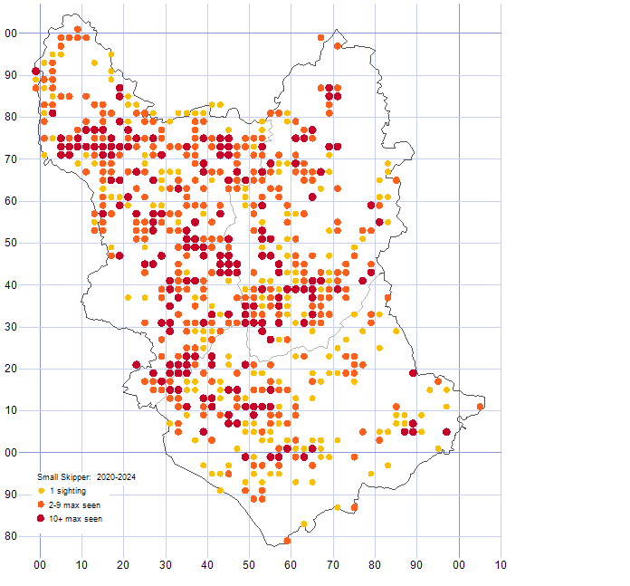 Small Skipper distribution map 2020-2024