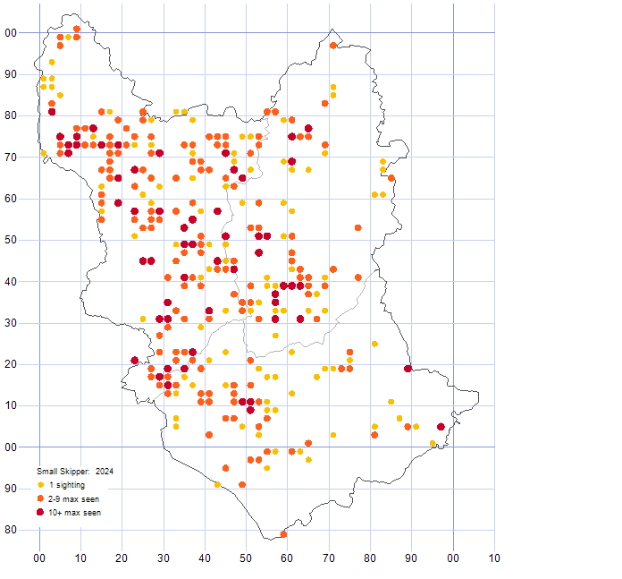 Small Skipper distribution map 2024