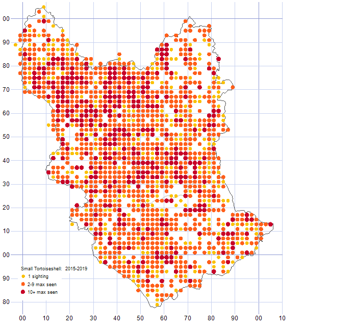 Small Tortoiseshell distribution map 2015-19