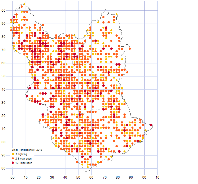 Small Tortoiseshell distribution map 2019