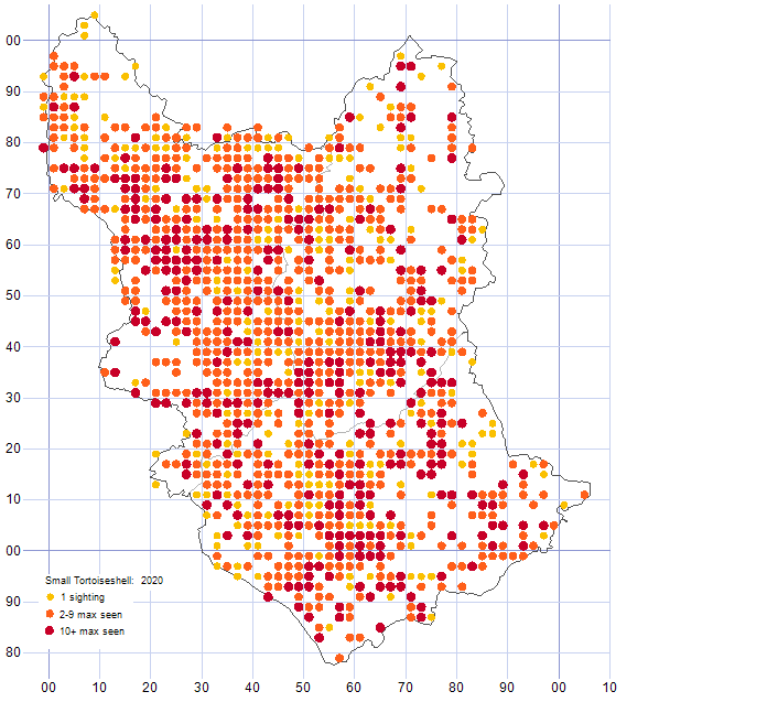 Small Tortoiseshell distribution map 2020