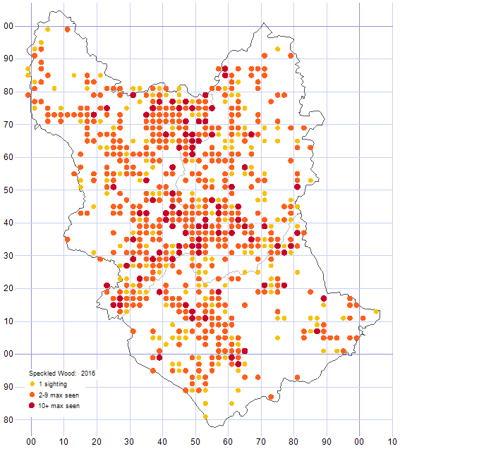 Speckled Wood distribution map 2016
