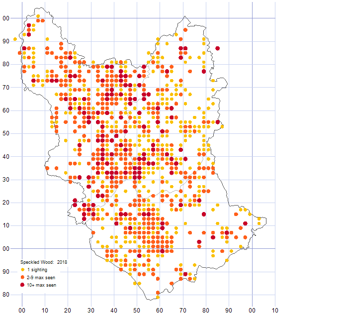 Speckled Wood distribution map 2018