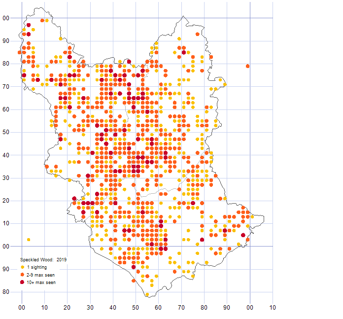 Speckled Wood distribution map 2019