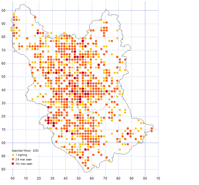 Speckled Wood distribution map 2020