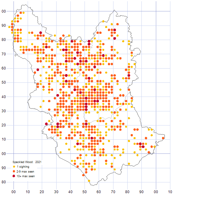 Speckled Wood distribution map 2021