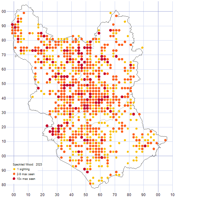 Speckled Wood distribution map 2023