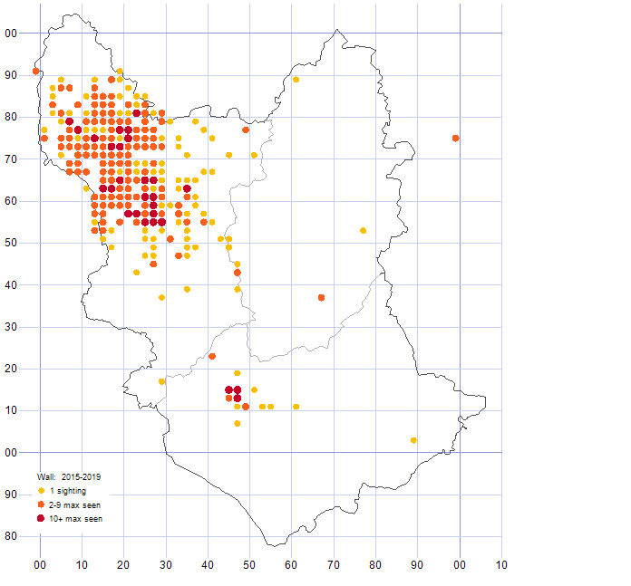 Wall distribution map 2015-19