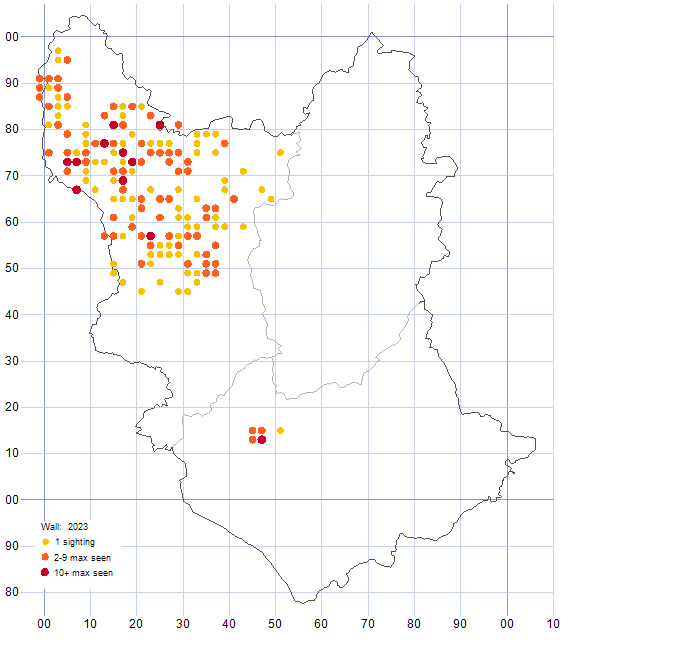 Wall distribution map 2023