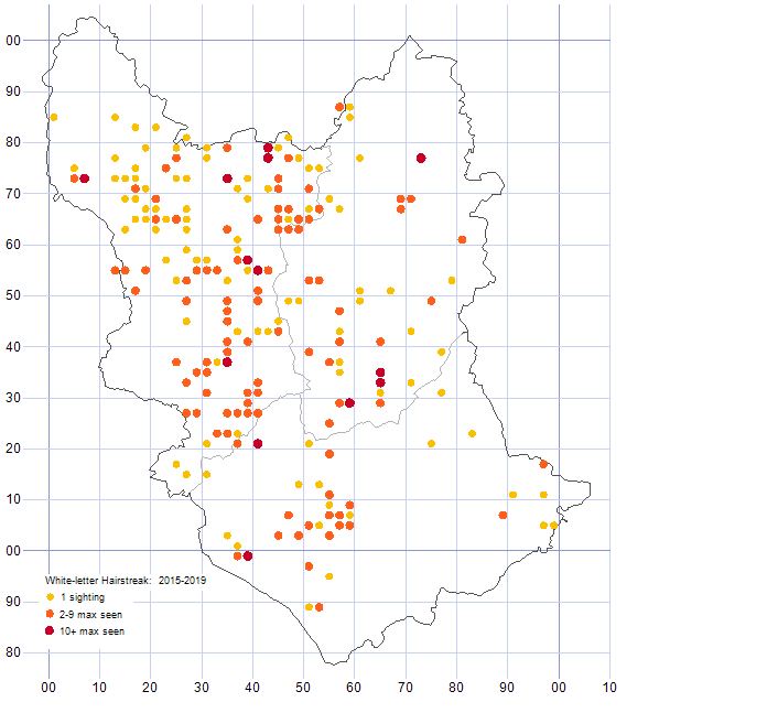 White-letter Hairstreak distribution map 2015-19