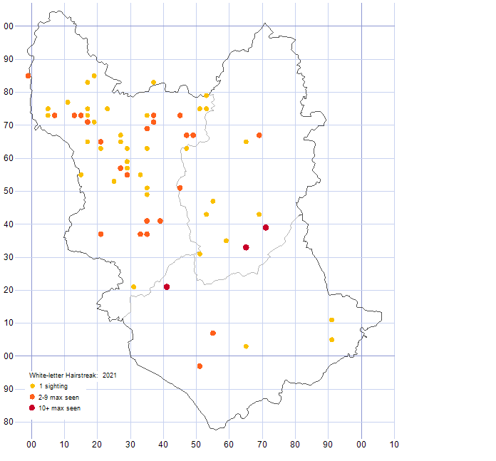 White-letter Hairstreak distribution map 2021