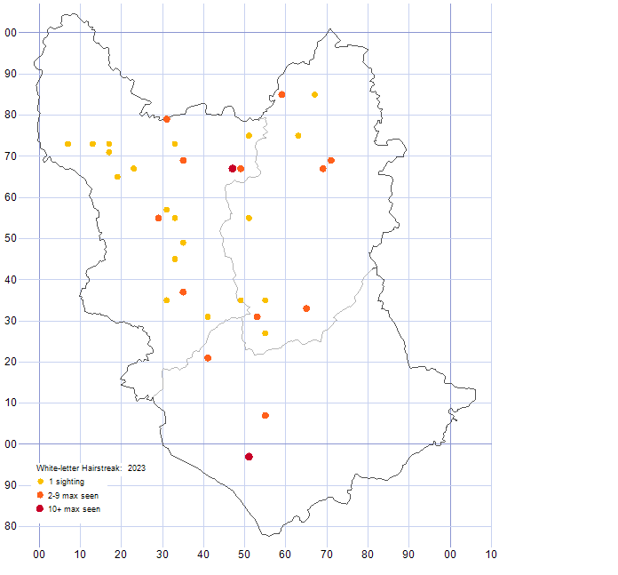 White-letter Hairstreak distribution map 2023